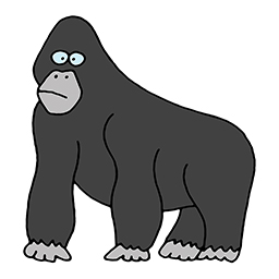 Gorilla