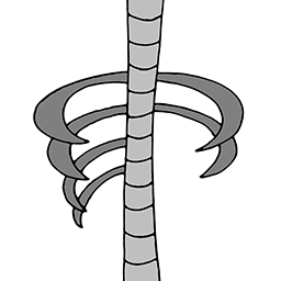 Wirbelsail a Rëppel