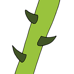Dären