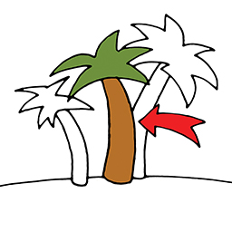 Palm